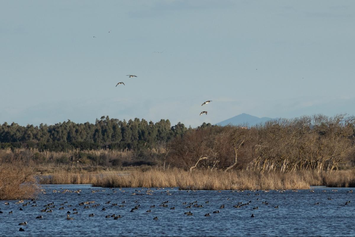 Biodiversity: Risk and Reward